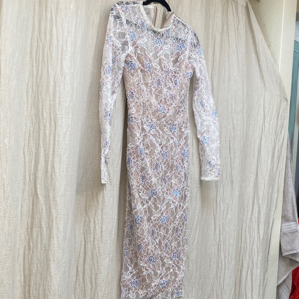 Dress the Population White and Blue Floral Lace Dress